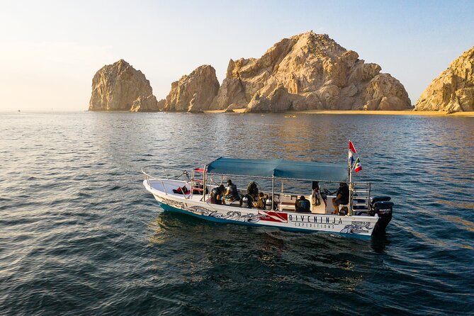 2 Dives in the Cabo Marine Park - Who this tour fits best