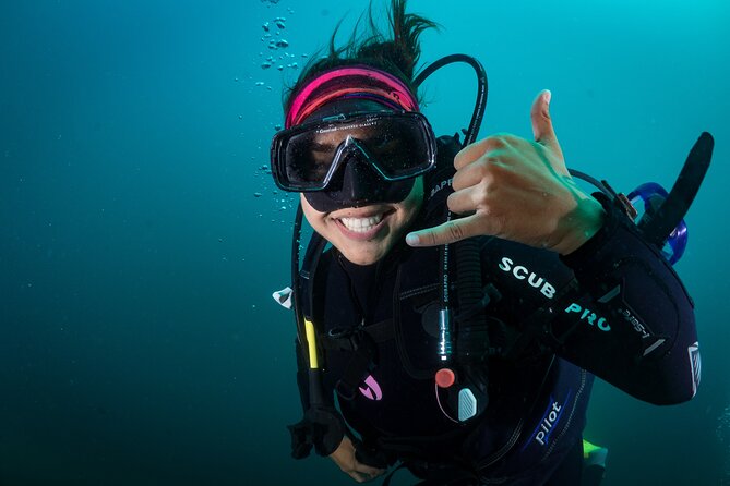 2 Dives in the Cabo Marine Park - Meeting in downtown Cabo and getting geared up