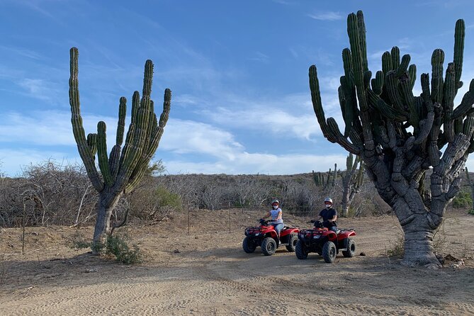 2-Hour ATV Riding Experience in San Jose del Cabo - The Cost Reality Check: $110 Tour Price + Entrance + Optional Insurance