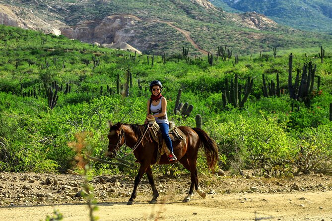 2 Hours Horseback Riding Adventure in Cabo - First Stop: The Sanctuary With Birds and a Giant Tortoise