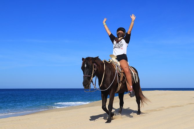 2 Hours Horseback Riding Adventure in Cabo - The Best-Rated Parts to Pay Attention To