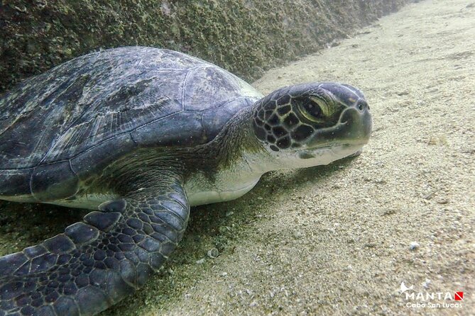 2-Tank Scuba in Marine Reserve and Corridor for Certified Divers - Group size, timing, and why the day feels manageable