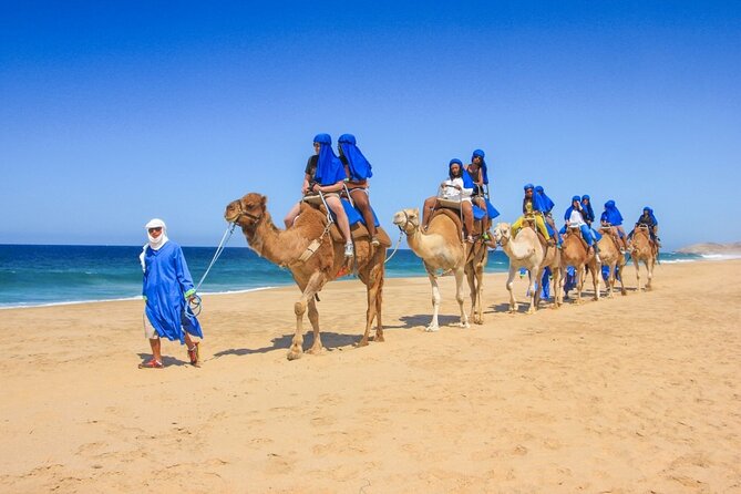 2x1 Tour: Cabo San Lucas Arch + Camels Ride + Pick up! - Los Arcos by boat Transparente: seeing the Arch area from below