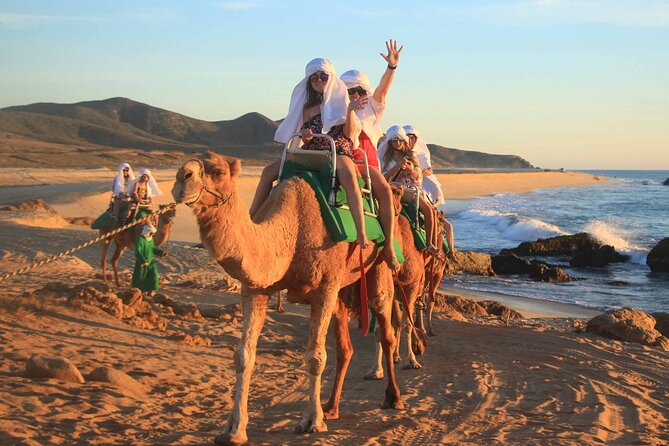 2x1 Tour: Cabo San Lucas Arch + Camels Ride + Pick up! - Price and extra fees: what the $55 really means