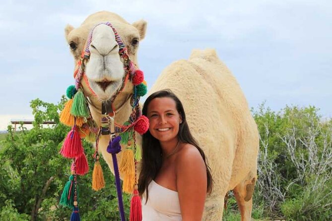 2x1 Tour: Cabo San Lucas Arch + Camels Ride + Pick up! - Who this tour fits best (and who should think twice)