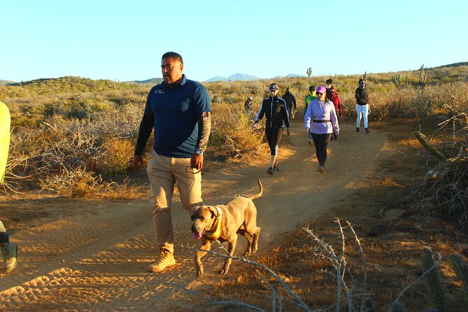 3 Hour Hiking Activity at the Hidden Arch Of Los Cabos - What’s Included, What Costs Extra, and the Alcohol Question