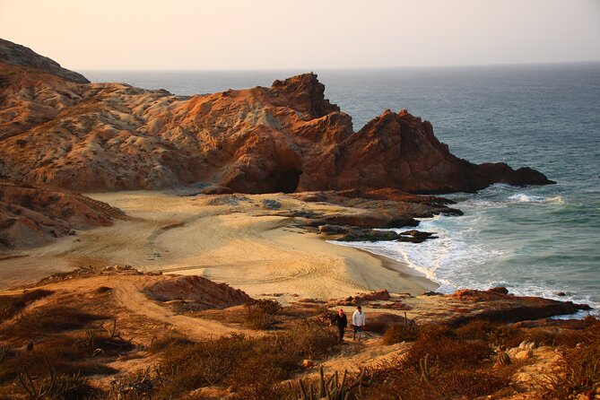 3 Hour Hiking Activity at the Hidden Arch Of Los Cabos - Your Guide’s Role: Flora, Fauna, and Pointing Out the Stuff You’d Miss