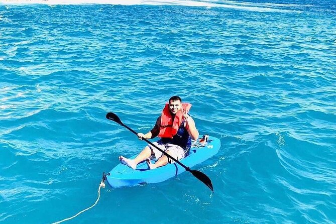 3 hour Snorkeling and Catamaran in Cabo San Lucas - Whales and extra sea life: fun when it happens, reality when it doesn’t