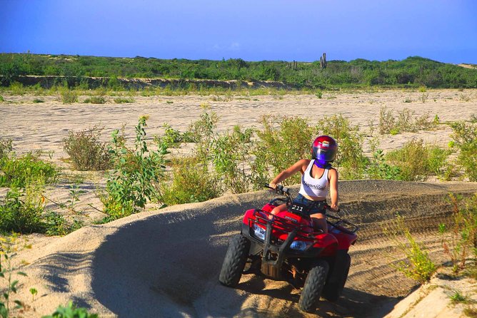 3hrs Snorkel Catamaran in Los Cabos - What’s Included (and What Costs Extra): The Value Math