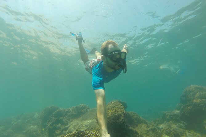 4-Hour Snorkeling Tour in Cabo San Lucas and Corridor - Stop 1: Arch of Cabo San Lucas—sea lions and a quick photo stretch