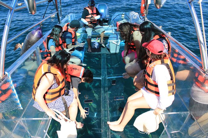 45 Minute Transparent Boat Ride to the Arch of Cabo San Lucas - Stop 3: Sea of Cortez Loop—Sea Lions, Rock Formations, and Beach Photo Angles