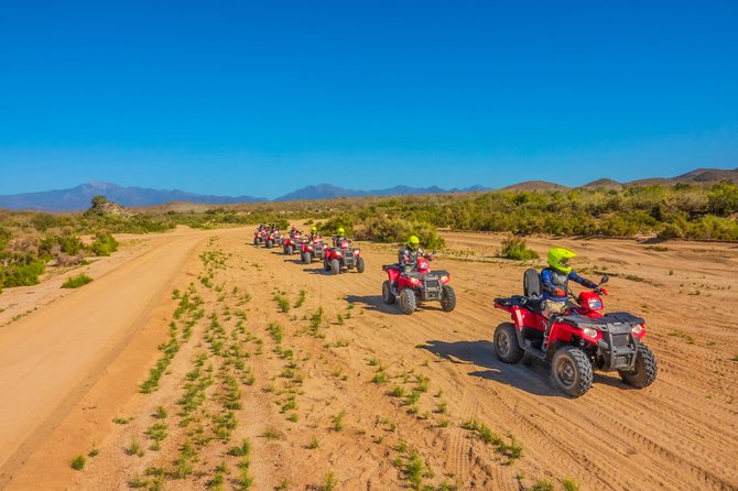 4x4 ATV Adventure with Tequila Tasting and Mexican Buffet Lunch - Lunch by the ocean: unlimited buffet that can be either great or just okay