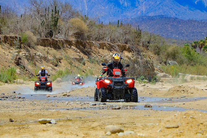 4x4 ATV Adventure with Tequila Tasting and Mexican Buffet Lunch - Tequila and mezcal tasting: fun timing, but it’s not a long lesson
