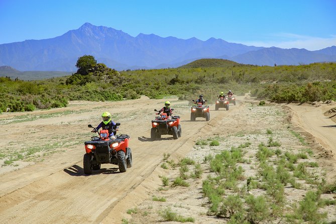 4x4 ATV Adventure with Tequila Tasting and Mexican Buffet Lunch - Real cost in dollars: your $75 price plus mandatory check-in fees