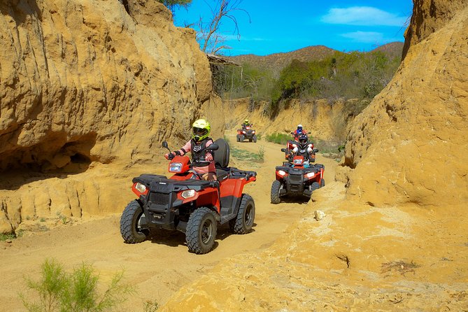 4x4 ATV Adventure with Tequila Tasting and Mexican Buffet Lunch - Comfort, limits, and who should skip the ATV part