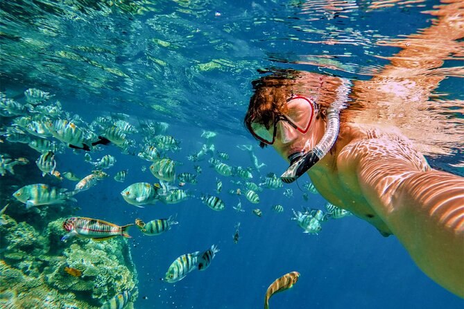 All Inclusive Cabo Boat Tour: Snorkeling, Food, and Drinks - Stop-by-stop breakdown: Medano Beach to Pelican Rock
