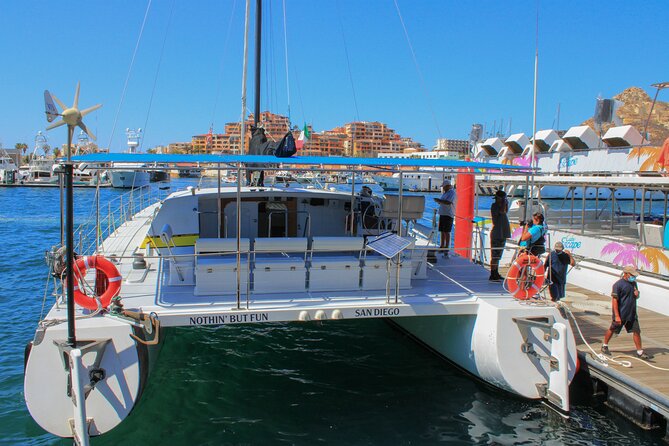 All Inclusive Cabo Boat Tour: Snorkeling, Food, and Drinks - Price and real value: what $100 buys you (and what costs extra)