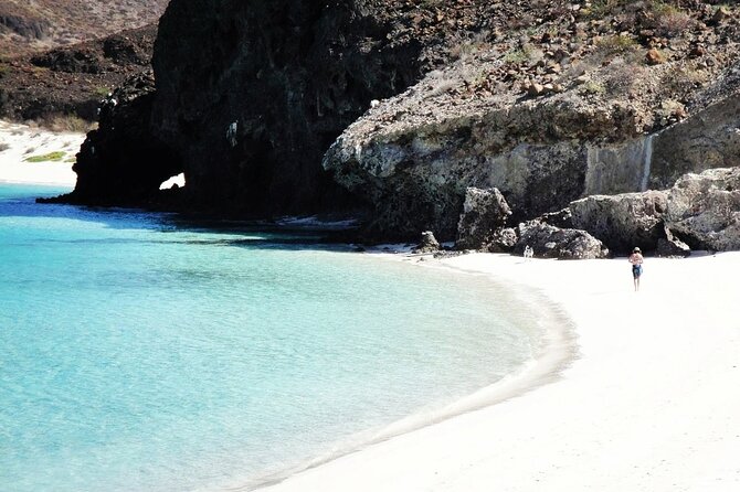 All-Inclusive catamaran Espiritu Santo Island Tour from Los Cabos - Snorkel-boat transfer to shore: how you actually reach the island