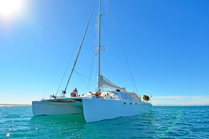 All-Inclusive catamaran Espiritu Santo Island Tour from Los Cabos - Water toys and included gear: the day stays active