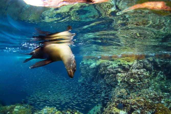 All-Inclusive catamaran Espiritu Santo Island Tour from Los Cabos - Timing from Los Cabos: the 9:00 am start and why it matters