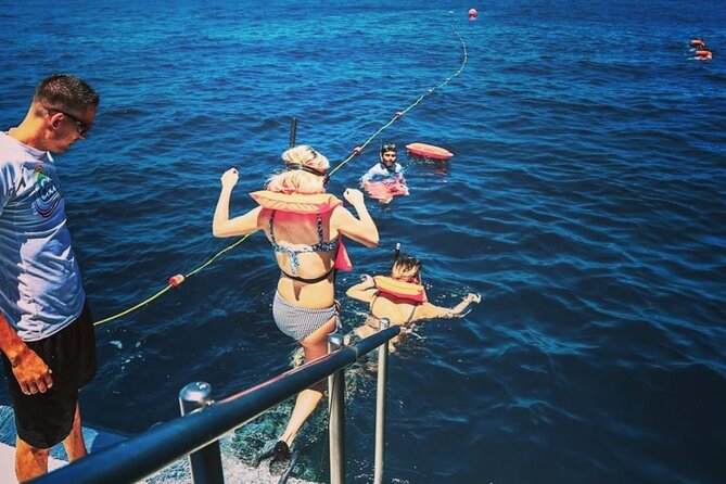 Amazing Cabo and Snorkel Adventure - How much is it, and is it good value?