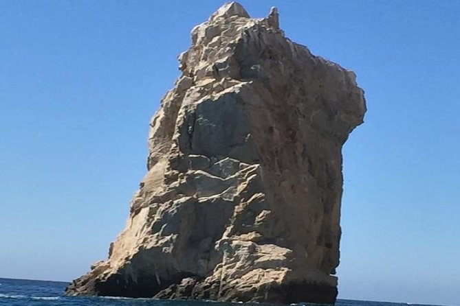 Arch Tour with Amazing Captain in Cabo San Lucas - Whale watching upgrade: only Dec to April