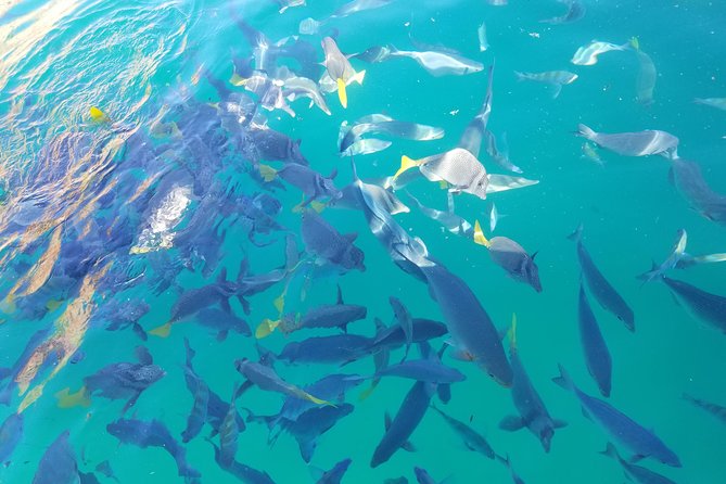 Arch Tour with Amazing Captain in Cabo San Lucas - The marina exit: where you start and why it matters