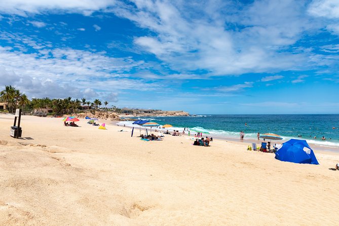 Arch Views & Snorkeling Paradise at Chileno Beach Private tour - Glass-bottom boat to El Arco: the views and what to expect