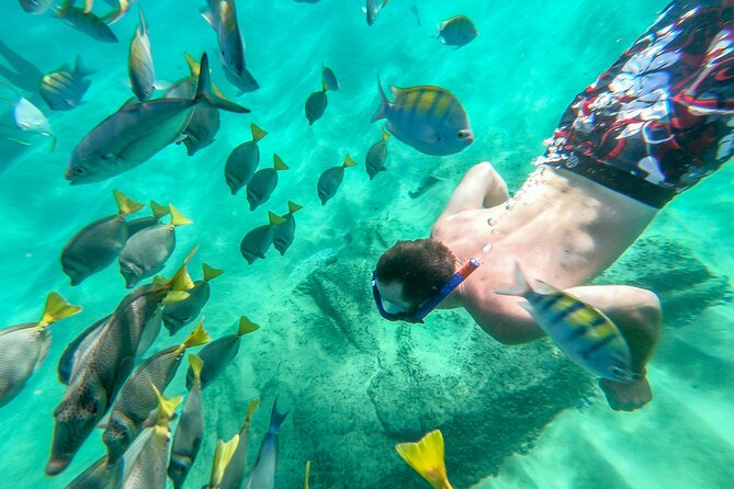 Arch Views & Snorkeling Paradise at Chileno Beach Private tour - Who should book this private Arch + Chileno snorkeling tour?