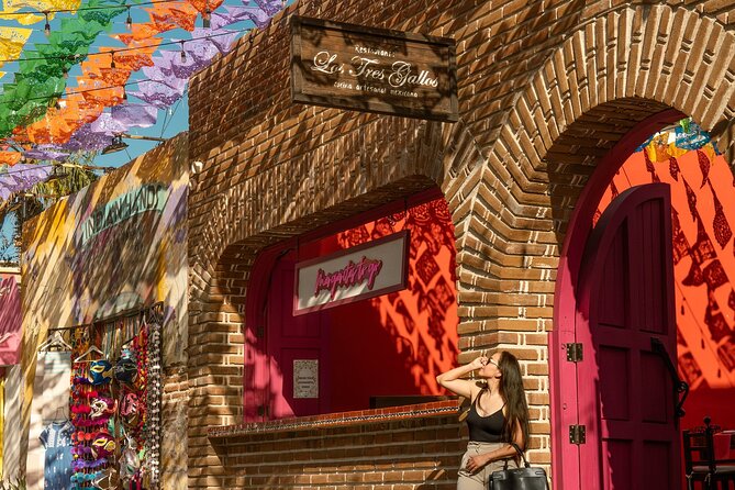 Art and Wine Evening City tour in San Jose del Cabo for Adults - Key Things I’d Focus On