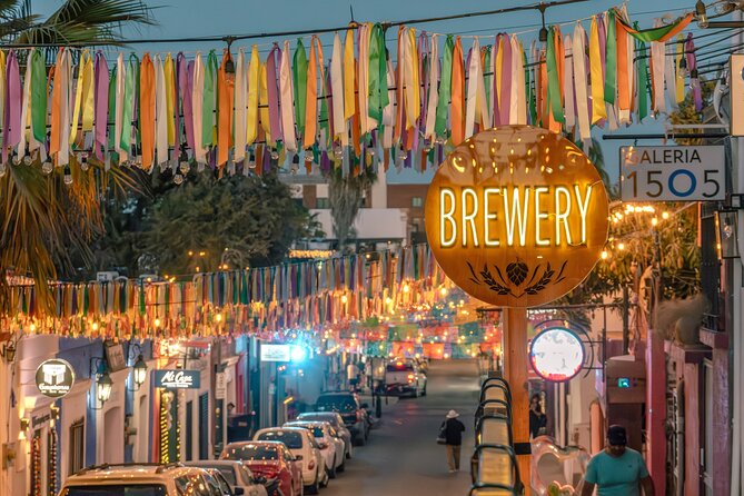 Art and Wine Evening City tour in San Jose del Cabo for Adults - Interactive art galleries: seeing, touching, and asking questions