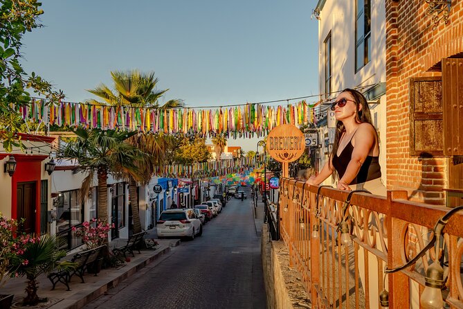 Art and Wine Evening City tour in San Jose del Cabo for Adults - What you’re really paying for: price, time, and included experiences