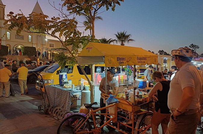 Art Walk Tour in Los Cabos - Tequila testing stop: a taste of the region