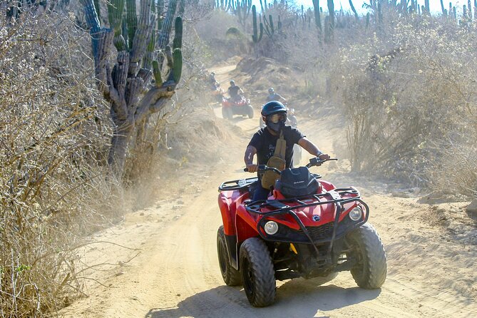 ATV and Camel Experience Los Cabos - Riding the Baja Desert on an ATV: Real Drive Time, Not a Demo Loop