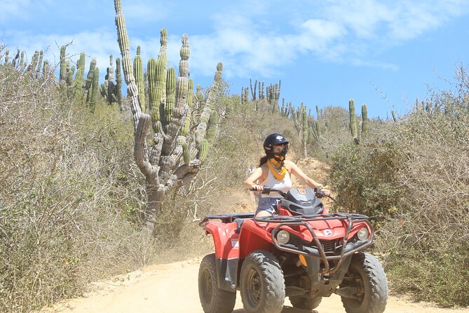 ATV and Camel Experience Los Cabos - The Included Food Break: Bottled Water and Homemade Quesadillas