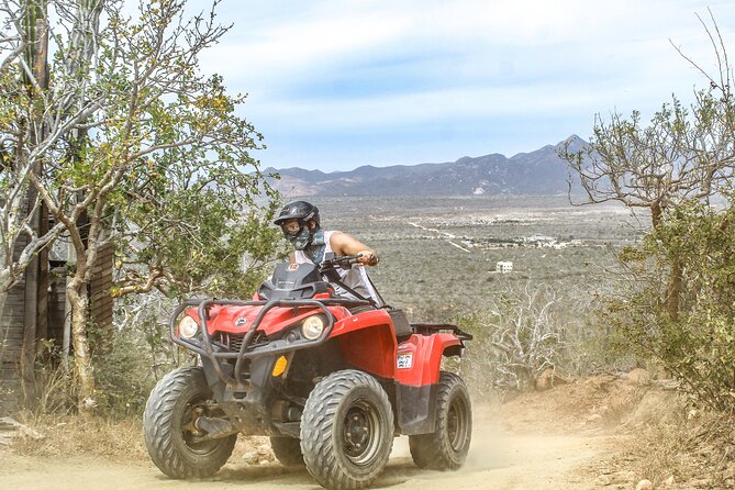 ATV and Camel Experience Los Cabos - Price and Logistics: The Real Value Math in San Jose del Cabo