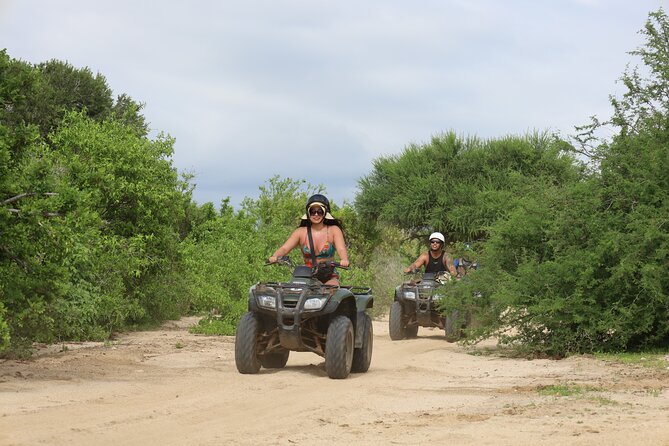 ATV Pacific Tour in Cabo San Lucas - The Ride Itself: Canyons, Cacti, Beach Views, and Whale Season