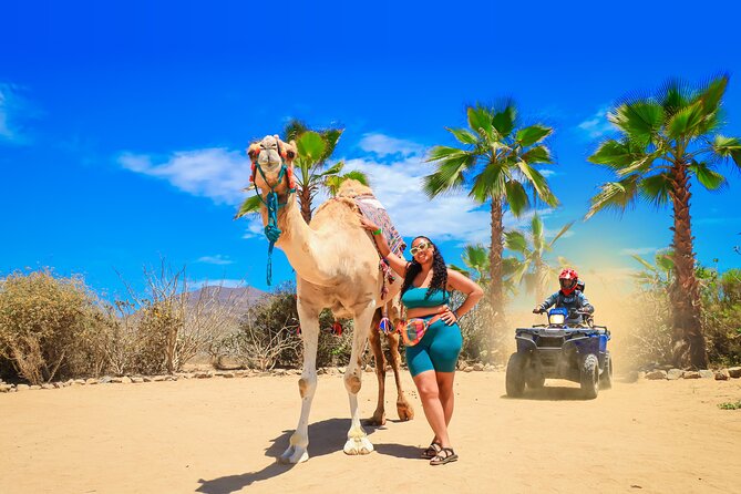 ATV Tour, Camel Ride, Tequila Tasting and Mexican Buffet Lunch - ATV and Camel Combo in San Jose del Cabo: What You’re Actually Booking