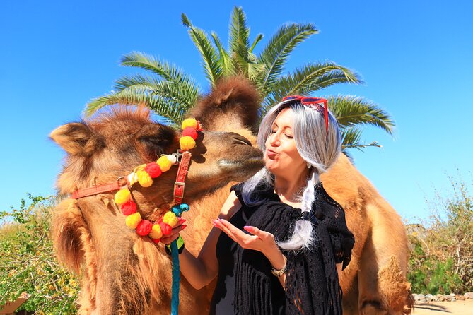 ATV Tour, Camel Ride, Tequila Tasting and Mexican Buffet Lunch - Camel Beach Ride: Ocean Waves, a Sturdier Seat Than You Think (Maybe)