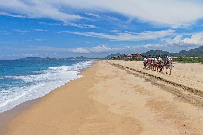 ATV Tour, Camel Ride, Tequila Tasting and Mexican Buffet Lunch - Unlimited Mexican Buffet Lunch: Fuel That Actually Helps