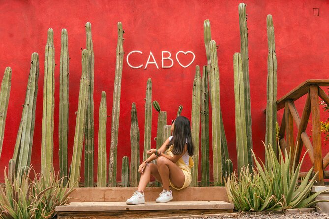 ATV Tour, Camel Ride, Tequila Tasting and Mexican Buffet Lunch - Price Breakdown and the Real Total: $149 Isn’t the Whole Story