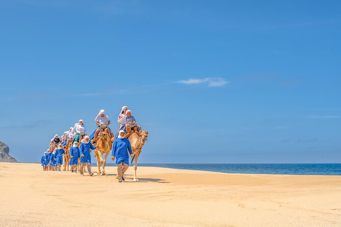 ATV Tour, Camel Ride, Tequila Tasting and Mexican Buffet Lunch - Photo Package Reality Check: The Cost That Can Change Your Day