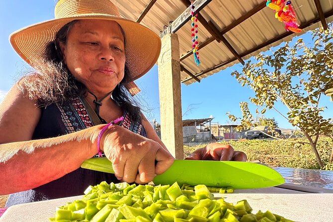 Azteca Tacos Cooking Class - Key Highlights You’ll Actually Care About