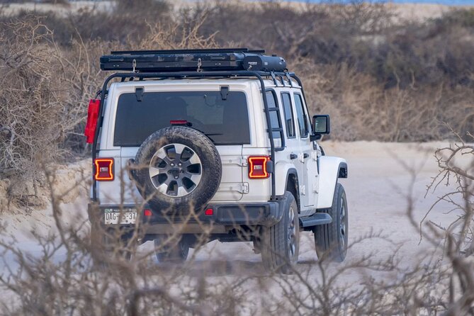 Baja Surf Expeditions - The beach part you’ll actually appreciate
