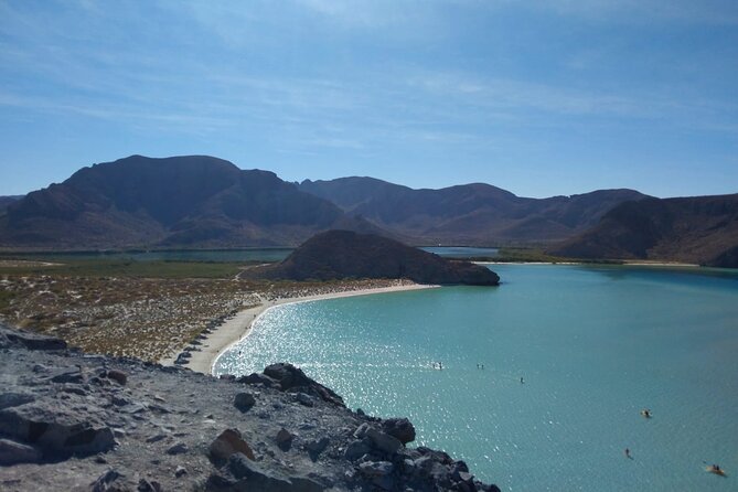 Balandra, La Paz and Todos Santos - Balandra Beach: Lagoon Swimming and Mangrove Fish at the Edge
