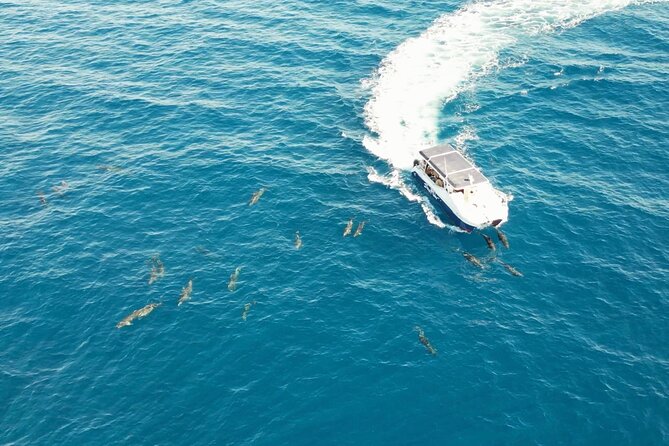 Bay Trip and the Arch of Cabo San Lucas - Stop 3: Neptune’s Finger and Pelican Rock viewpoints