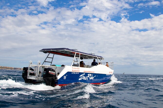 Bay Trip and the Arch of Cabo San Lucas - Boat comfort and small-group vibes