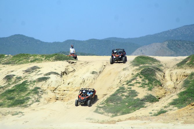 Beach and Desert Premium X3 UTV Tour in Cabo - Tequila tasting, photos, and the “3 hours” reality check