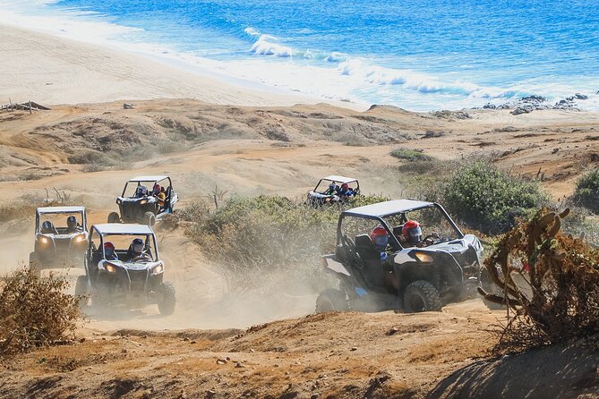 Beach and Desert UTV Tour in Cabo - Stop 1 at the Facility: Cactus Tours, Equipment Pickup, and a Herpentarium Moment