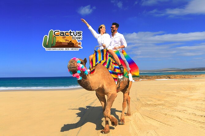 Beach Camel Ride and Encounter in Cabo - Price and logistics: how the $71.25 fare really works